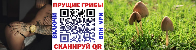 Псилоцибиновые грибы Magic Shrooms  Купить  Сельцо 